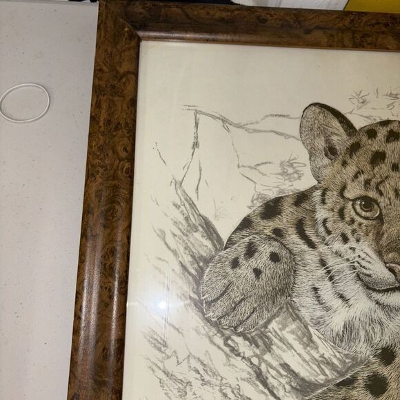 Framed Print Leopard Cub by Samara Seera 18.5 x 22.5” Big Cats African Safari - Picture 9 of 11